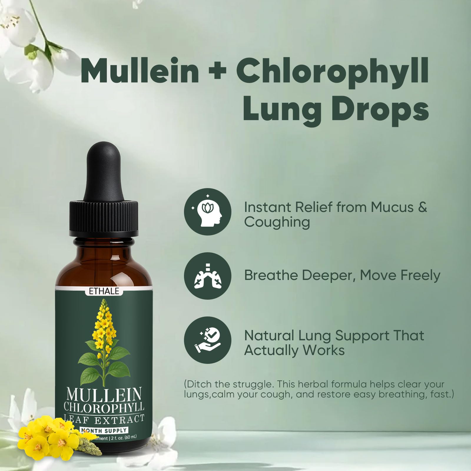 Chlorophyll and Mullein blend highlight the formula