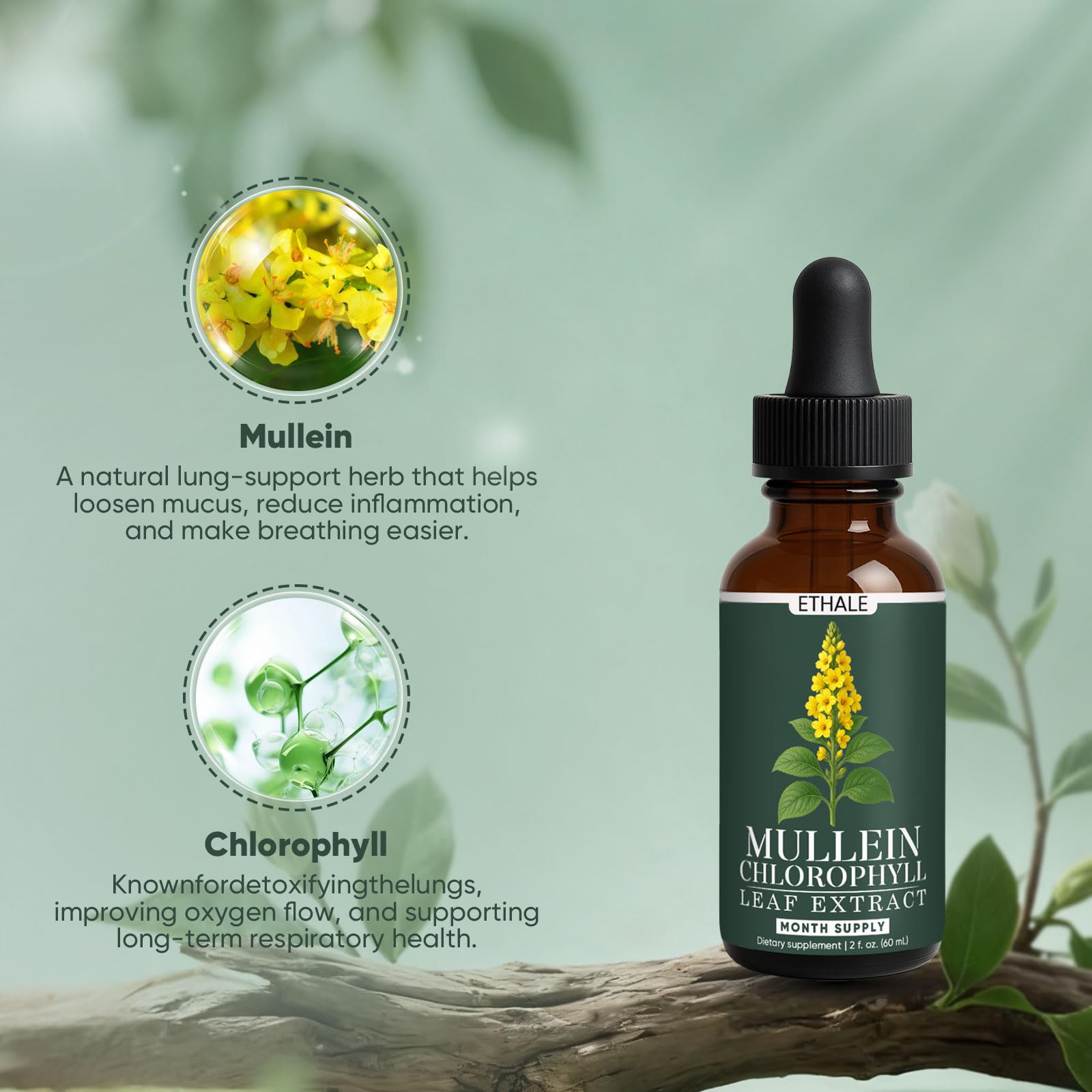Ingredients include Mullein Leaf Extract and Chlorophyll