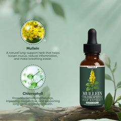 Ingredients include Mullein Leaf Extract and Chlorophyll