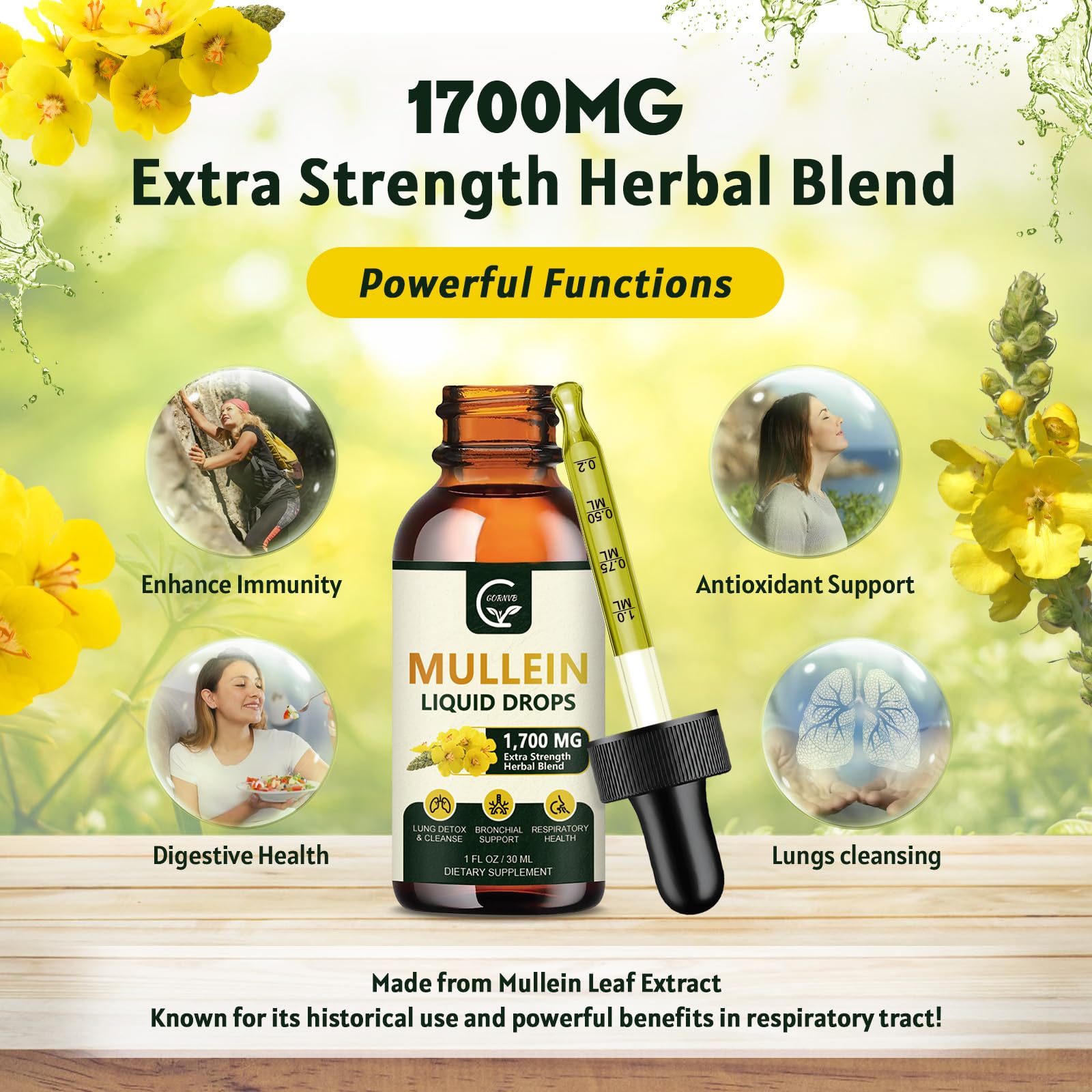 4 in 1 mullein leaf extract for bronchial support