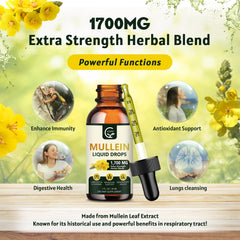 4 in 1 mullein leaf extract for bronchial support