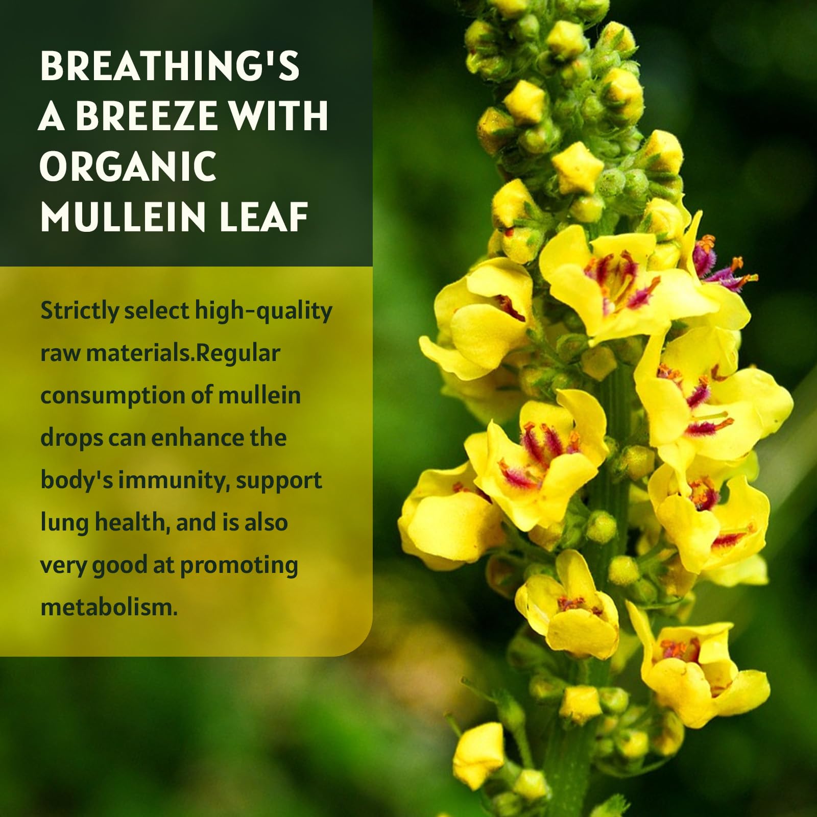 Lifestyle image showing drops being added to water for easy dosing