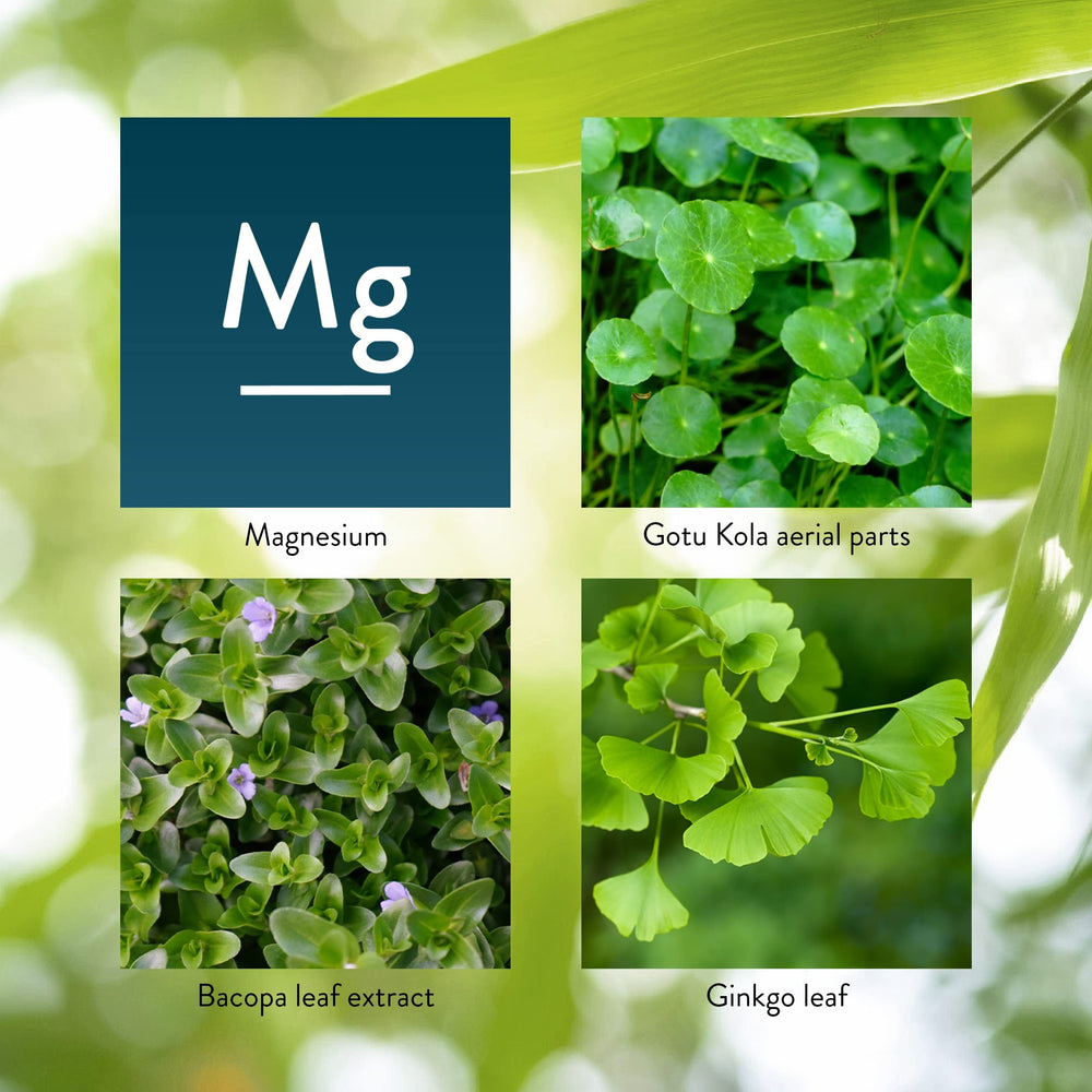 Gotu Kola aerial parts used in Mind-Max
