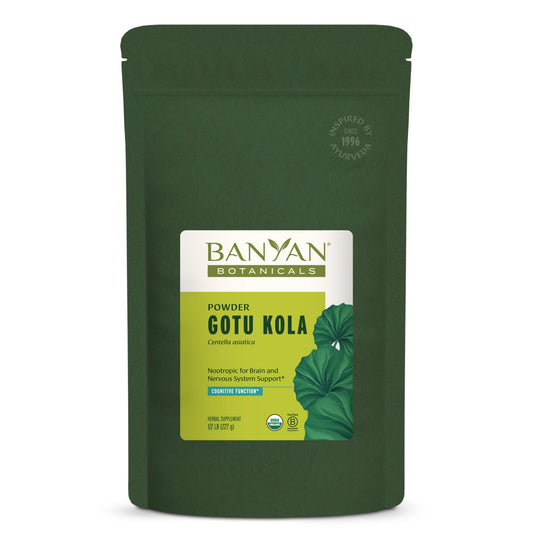 Ground Gotu Kola powder in a scoop