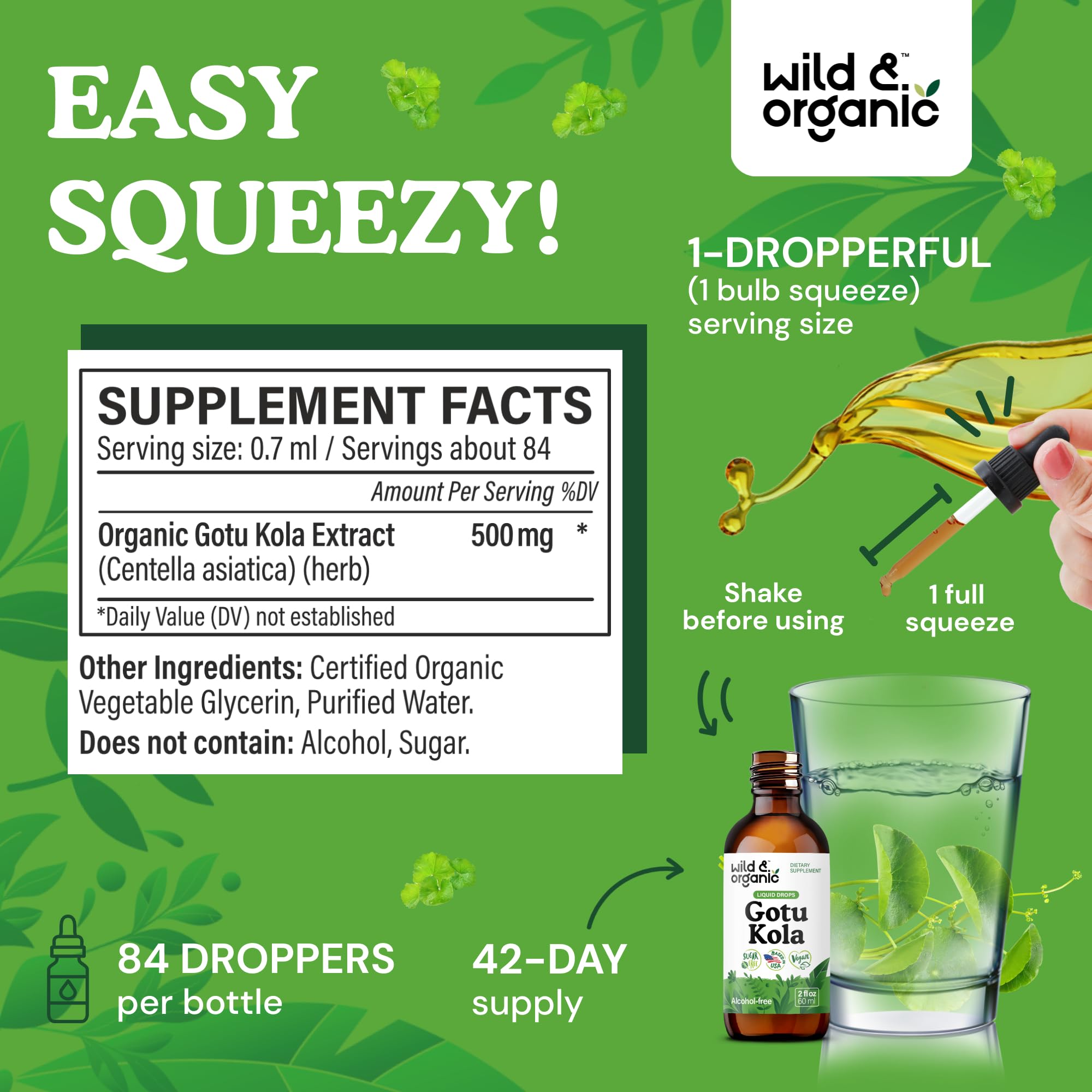 Gotu Kola tincture brain-support 500mg per serving