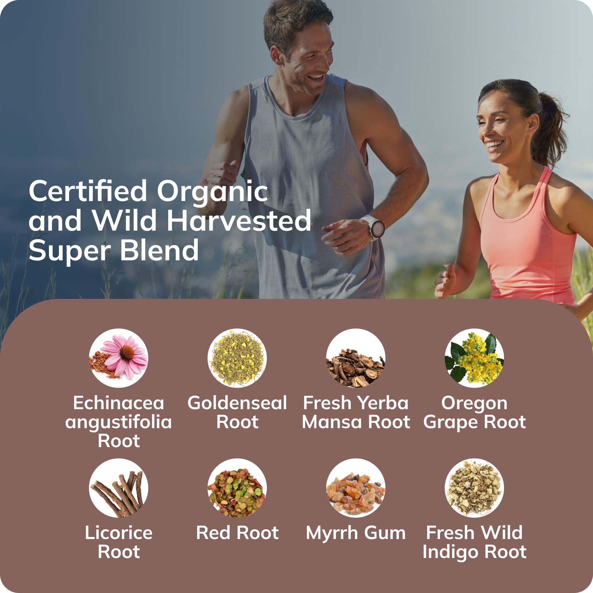 USDA Organic and Wild Harvested botanicals graphic