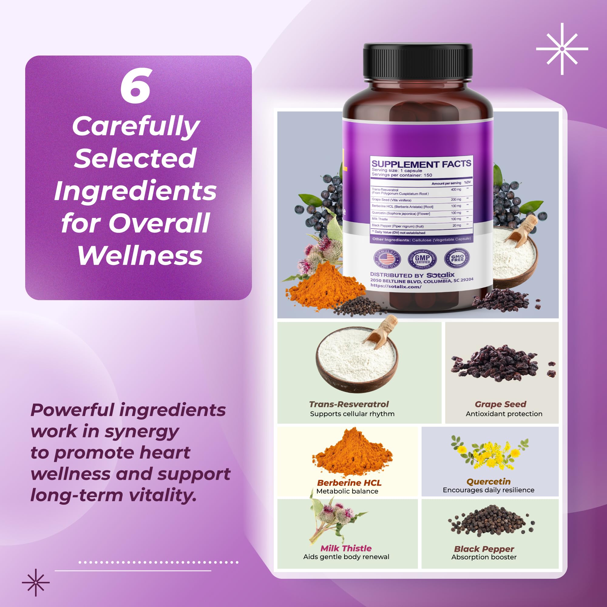 Grape seed and berry illustration representing antioxidants