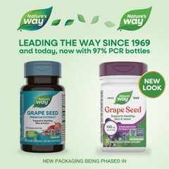 Graphic showing 95% polyphenols (95 mg) per serving