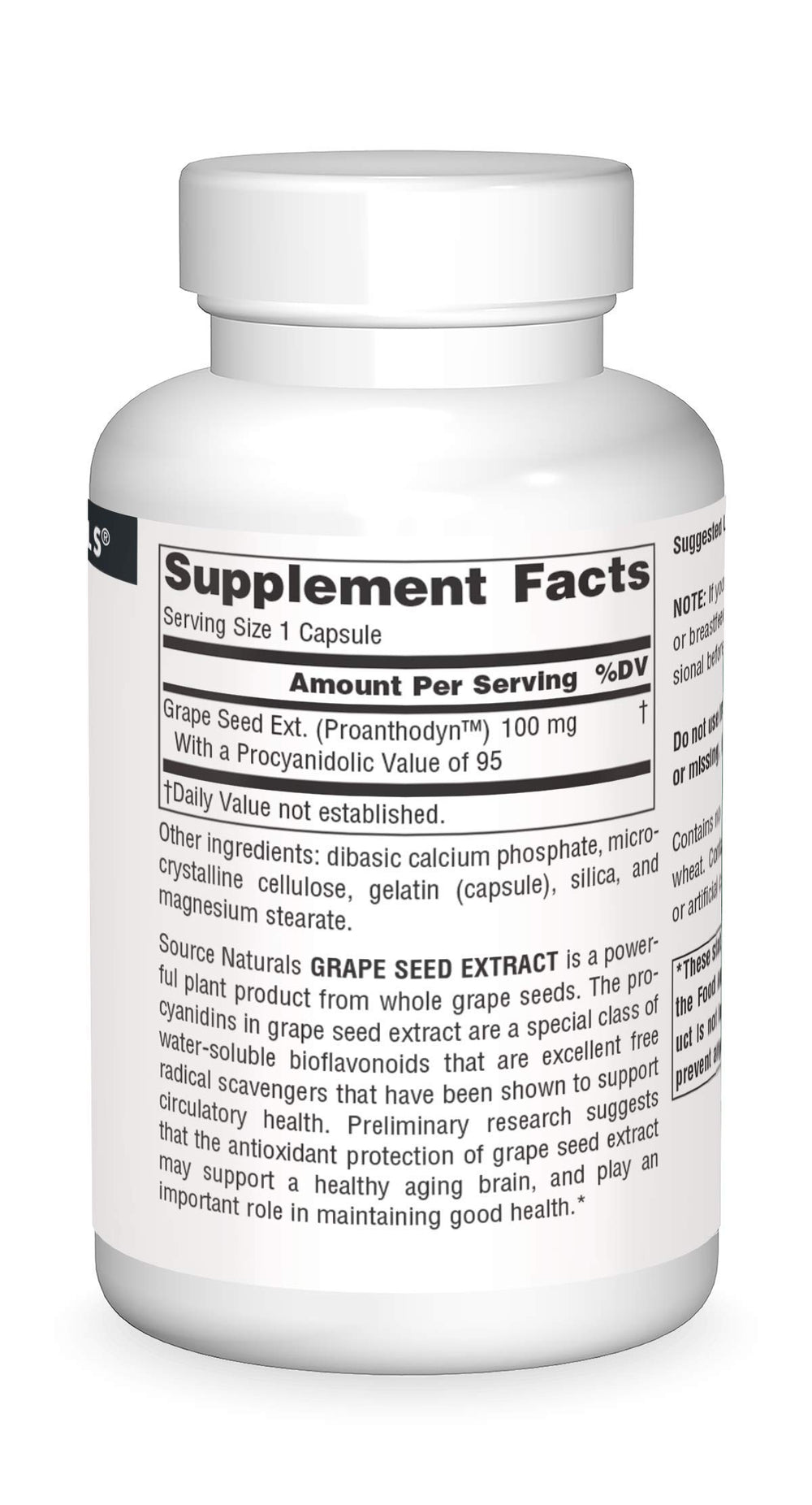 Graphic illustrating antioxidant protection for brain health