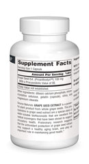 Graphic illustrating antioxidant protection for brain health