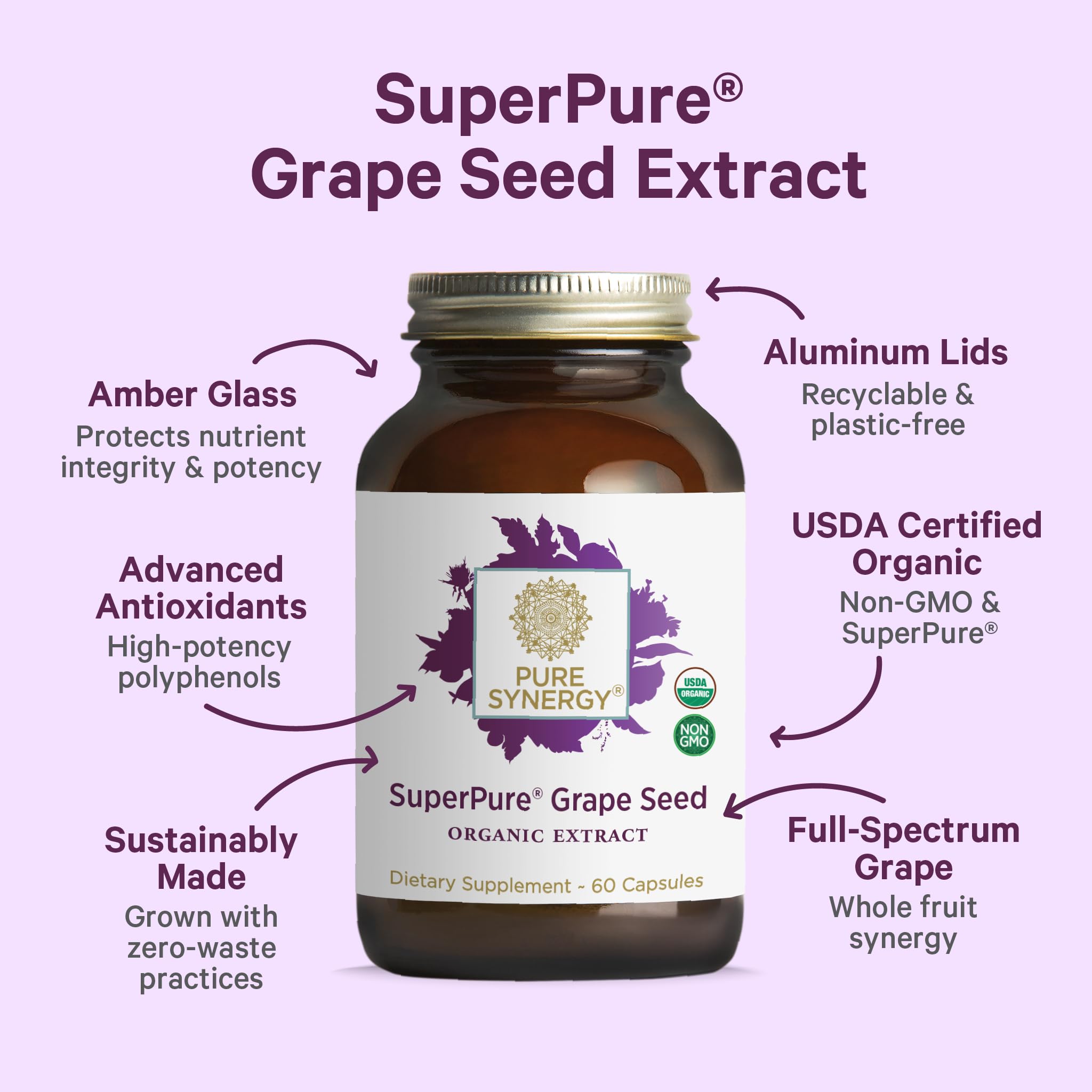 Grape seed, stem, pulp, and skin phytonutrients illustration