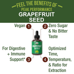 Label highlighting vegan, gluten-free, zero sugar attributes