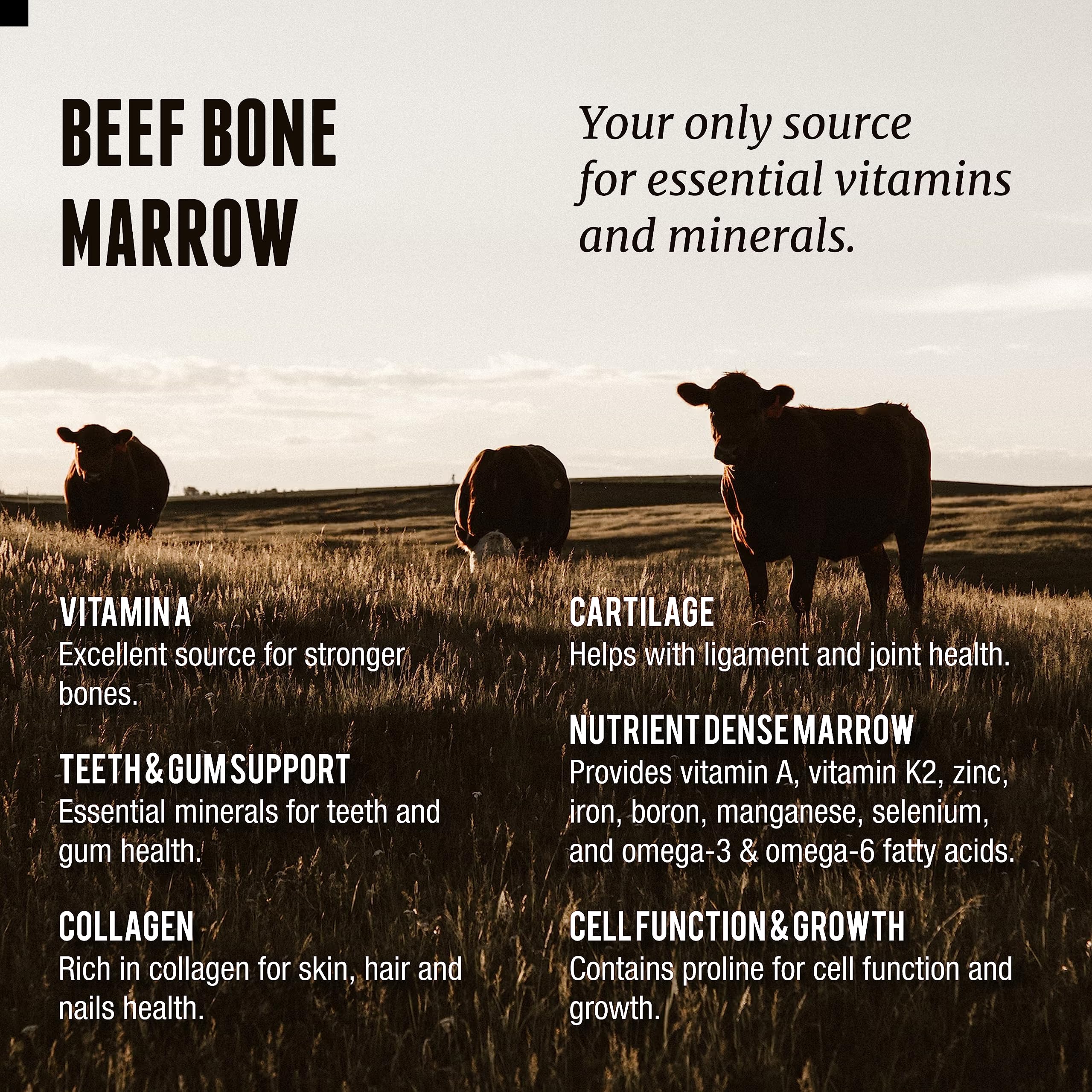 New Zealand pesticide-free pastures where cattle are finished