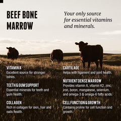 New Zealand pesticide-free pastures where cattle are finished