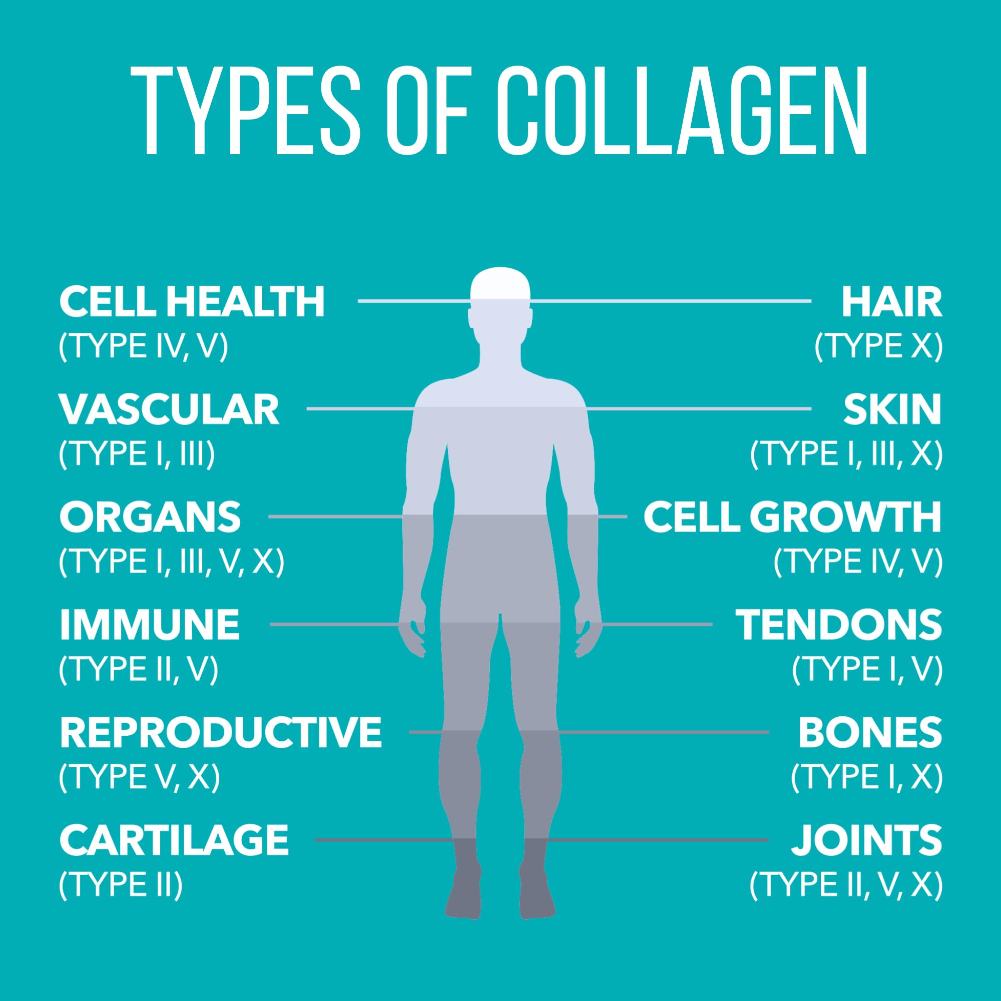 Grass-fed beef collagen source