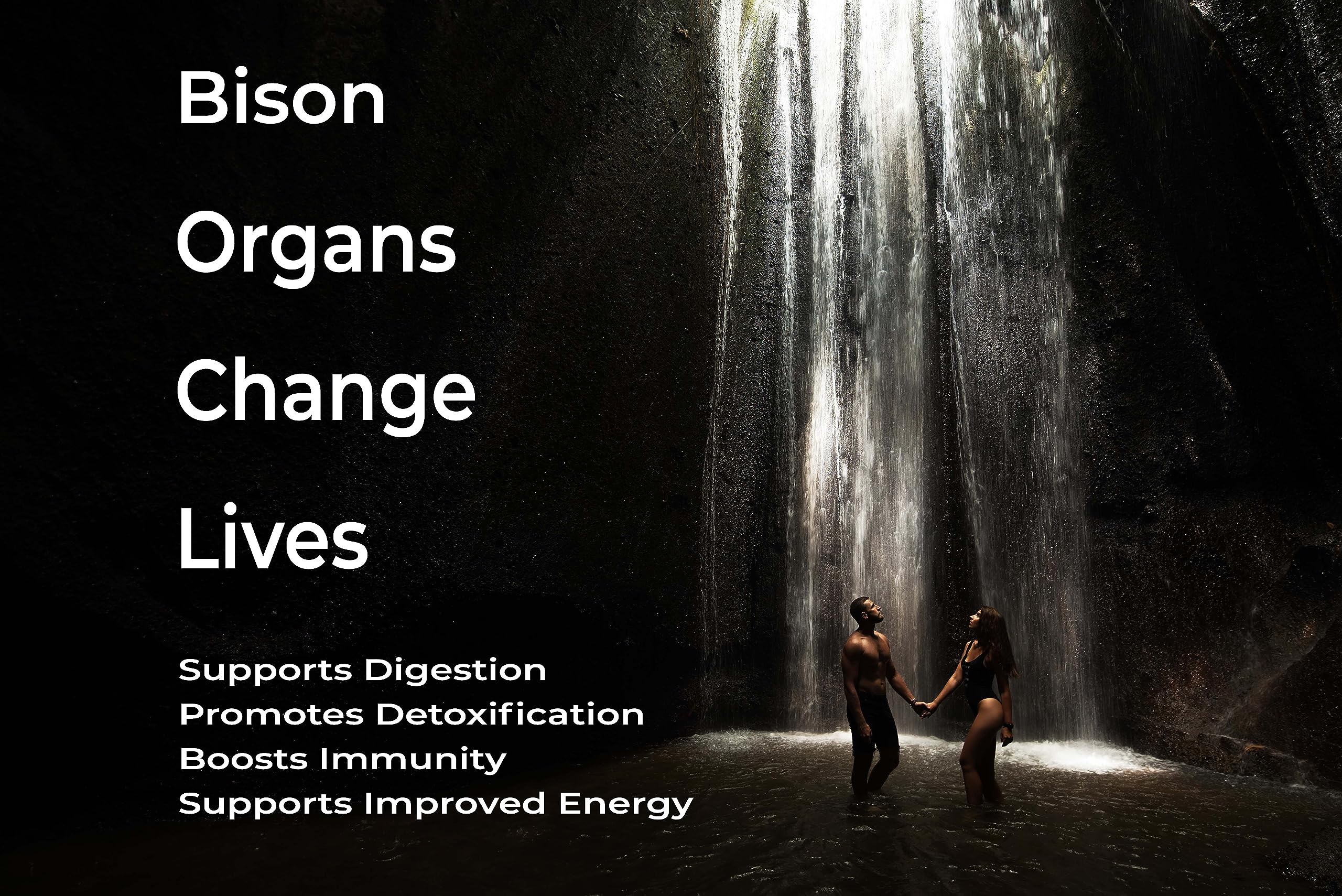 Ingredients and proprietary blend for LGS Grass Fed Bison Organ Supplement