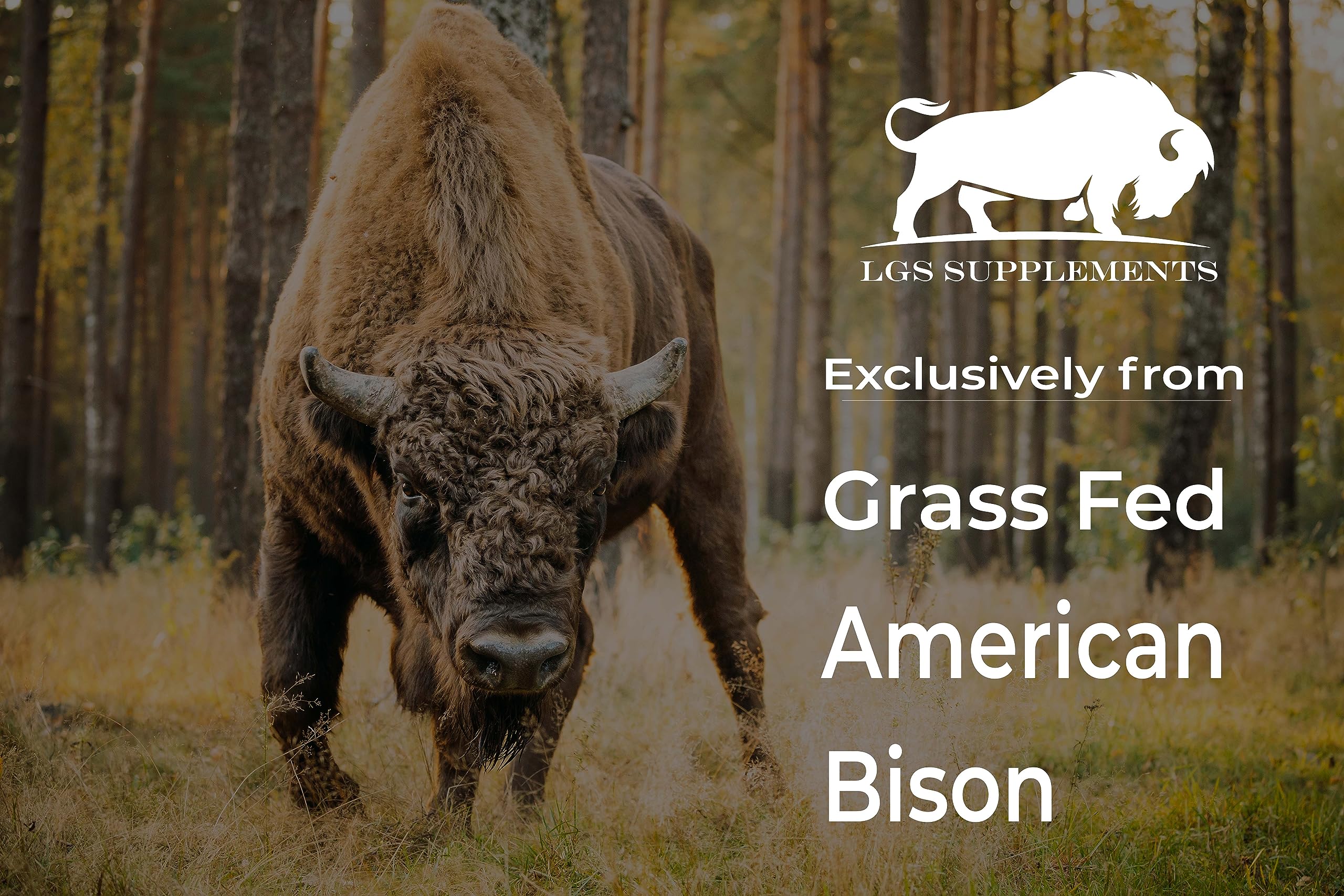 Liver component in LGS Grass Fed Bison Organ Supplement