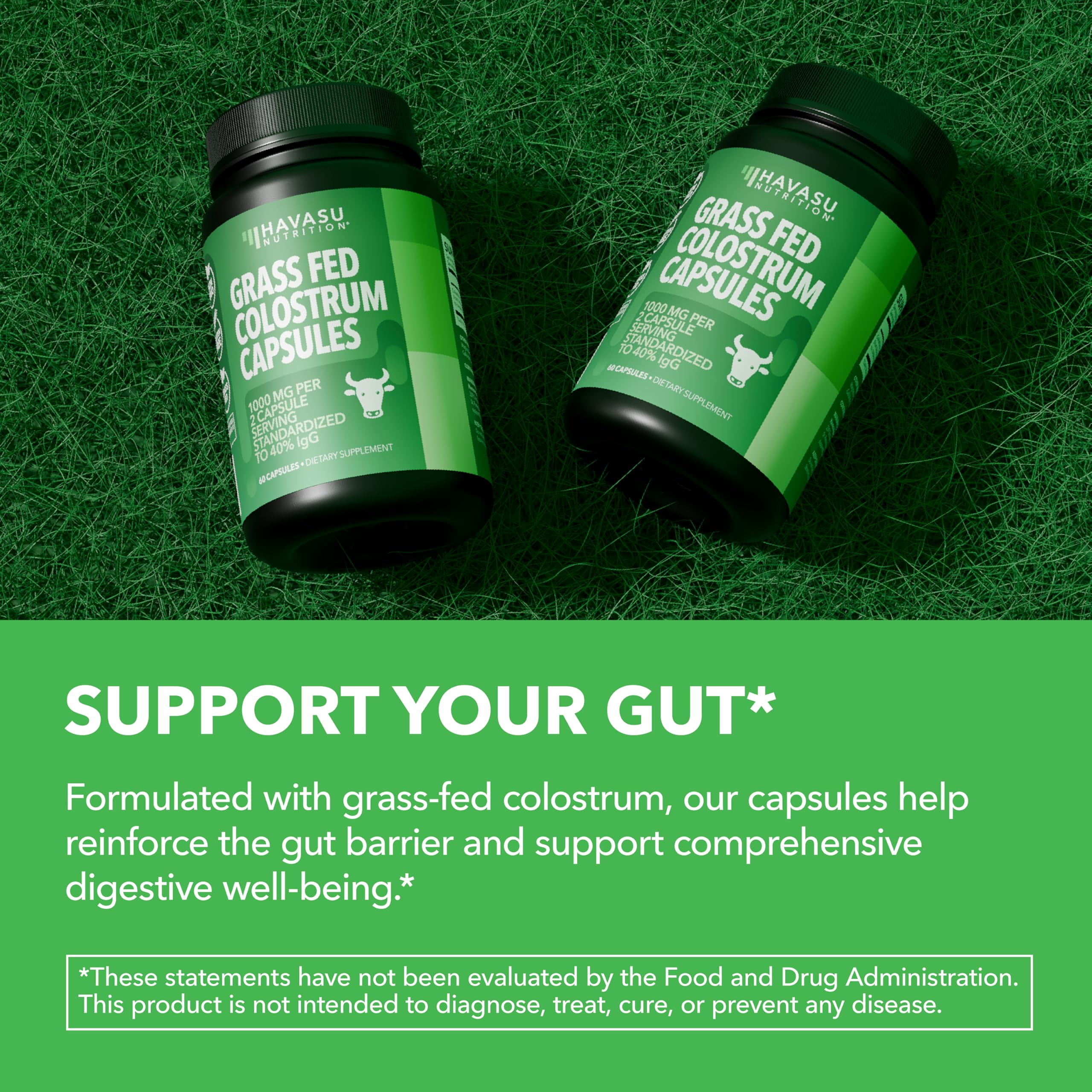 Graphic indicating immune support and gut health with colostrum