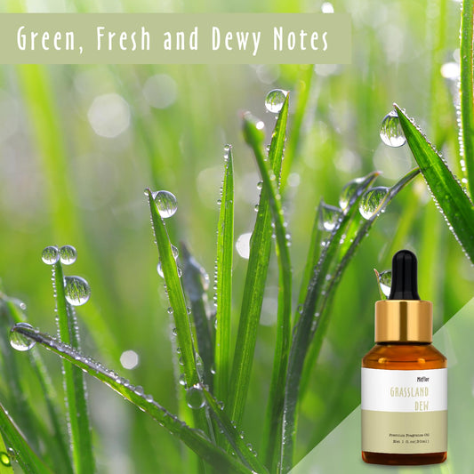Close-up of Grassland Dew fragrance oil bottle with dropper