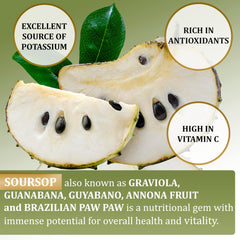 Apple-flavored soursop gummies in bottle