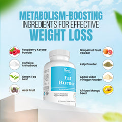 Green tea and caffeine capsules representing metabolism support
