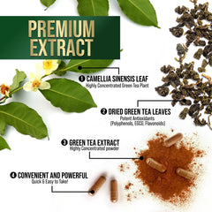 Packaging of Green Tea Extract Capsules 1000 mg
