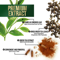 Packaging and appearance of Green Tea Extract Capsules 1000 mg