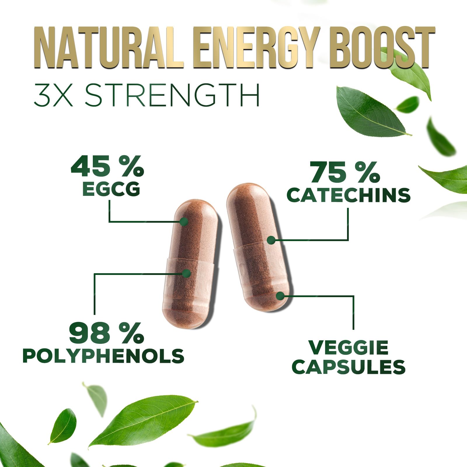 Ingredients panel showing 1000 mg green tea extract per capsule