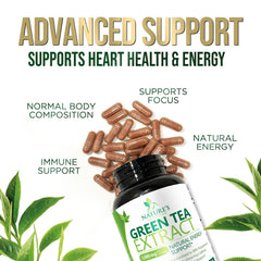 Nutritional information for Green Tea Extract Capsules 1000 mg
