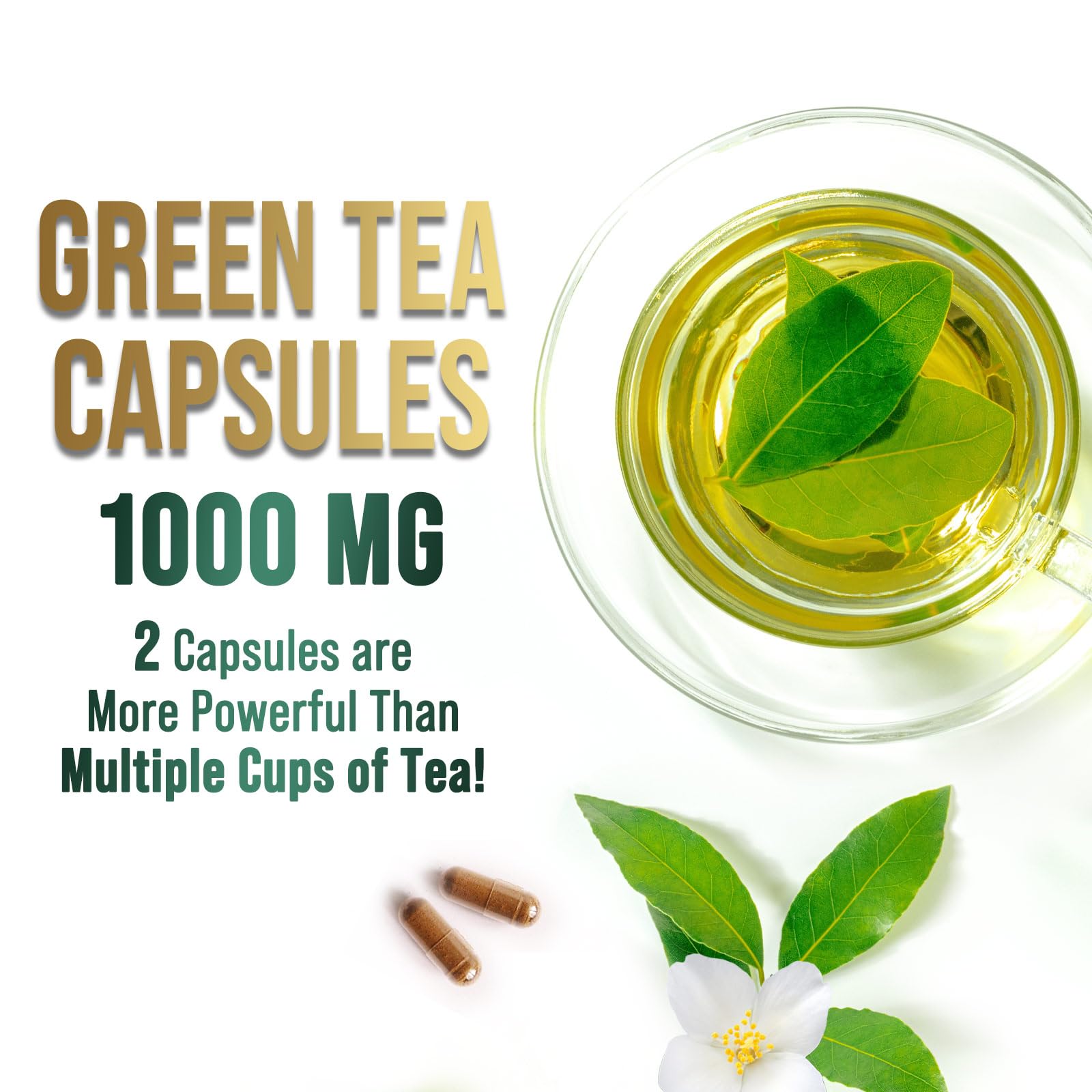 Top view of Green Tea Extract capsules on white background
