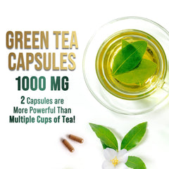 Top view of Green Tea Extract capsules on white background