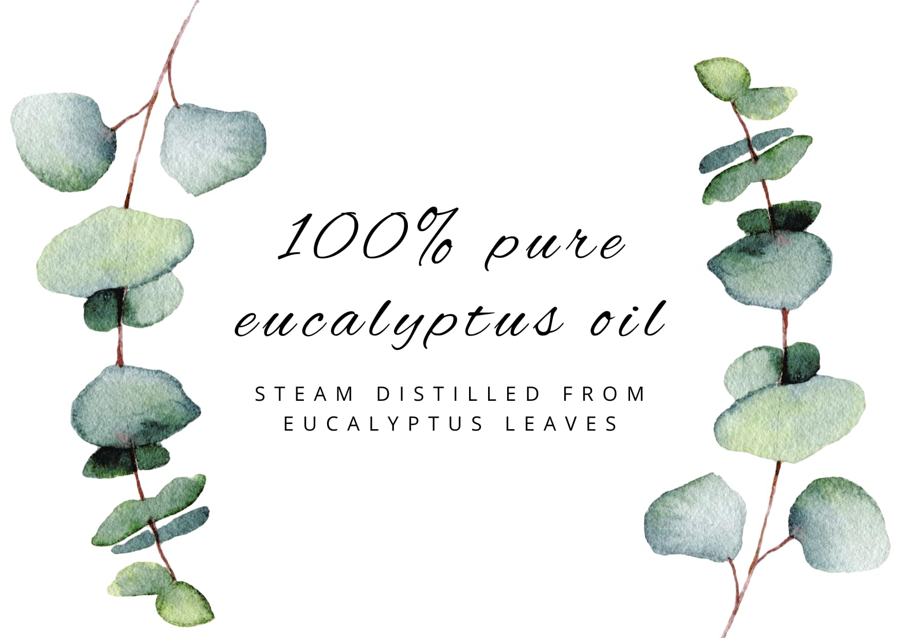 DIY cleaning spray made with eucalyptus essential oil