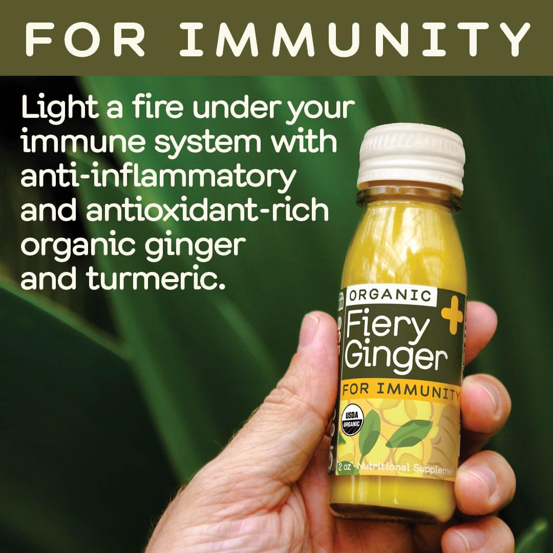Pack shot: 12 x 60ml glass bottles of Fiery Ginger Shots