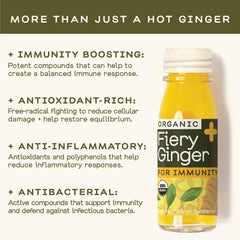 Close-up of organic ginger and turmeric ingredients