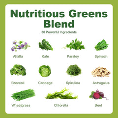 Graphics illustrating digestive health, immunity, and energy benefits