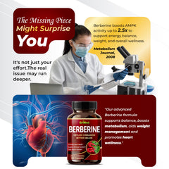 Ingredients panel showing berberine, cinnamon, and bitter melon