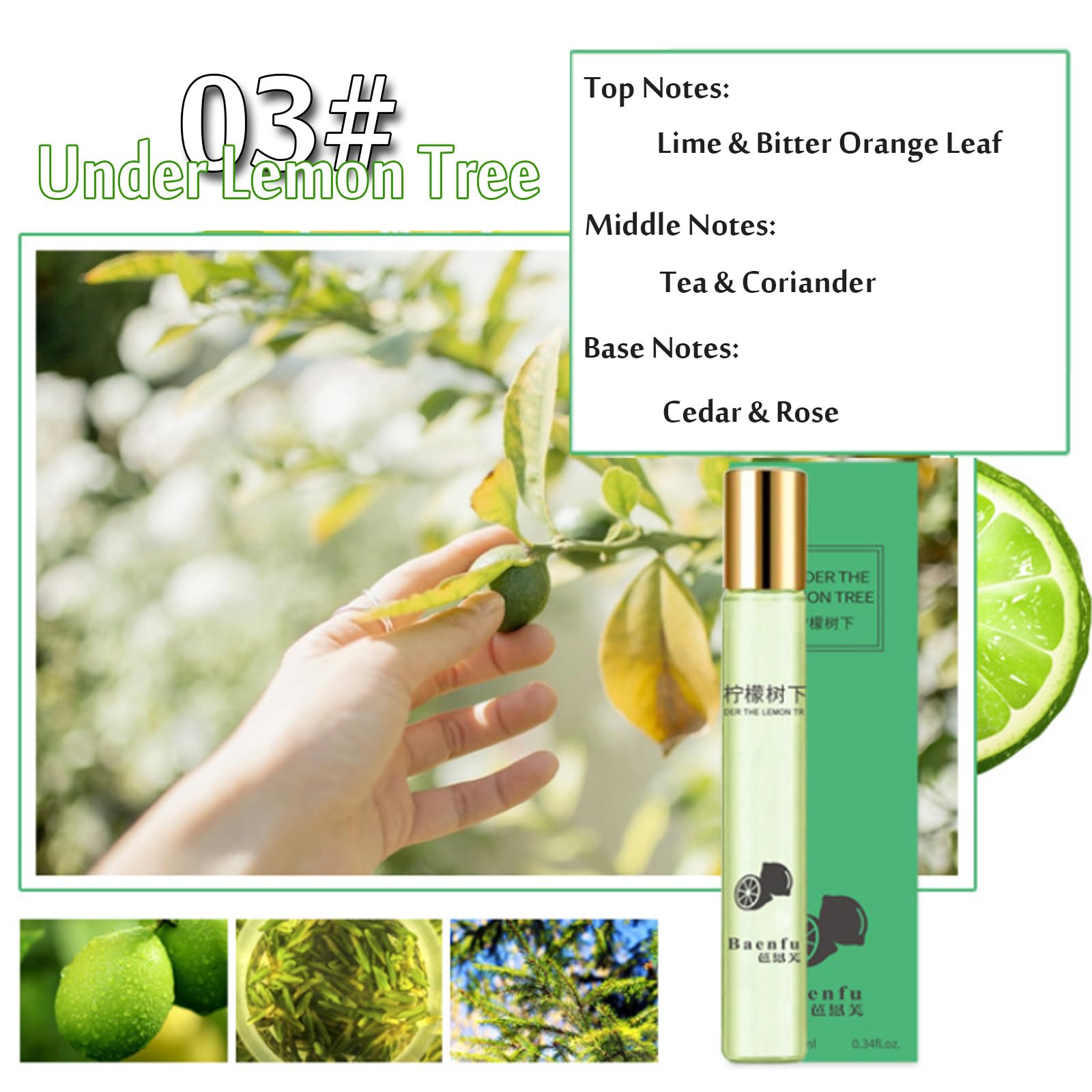 Grospe Jasmine image emphasizing floral layers with jasmine and lily hints for elegant evenings.