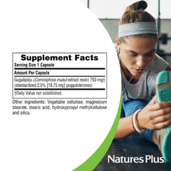 Ayurvedic Gugulipid formulation packaging with capsules