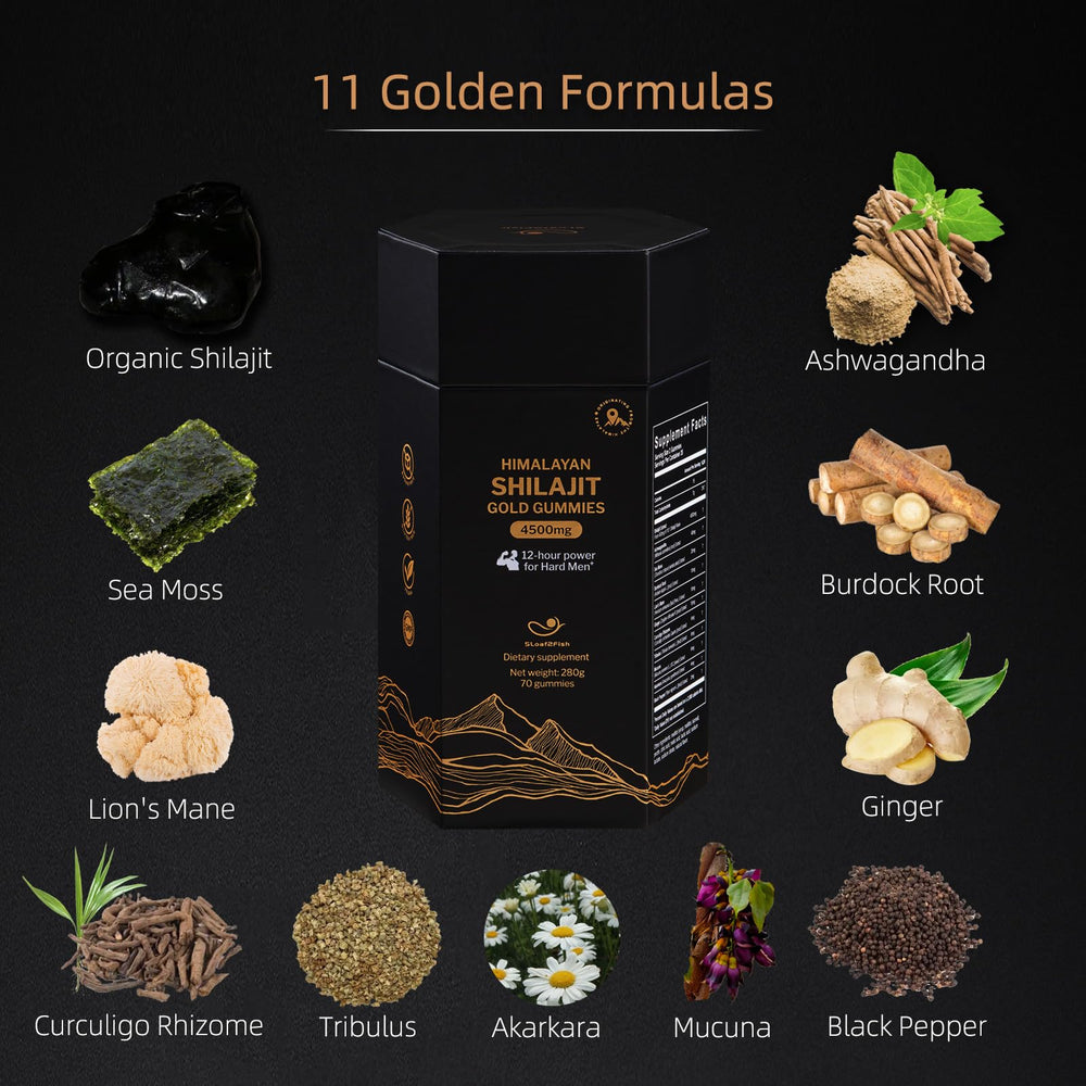 Packaging front view of 5Loaf2Fish Shilajit Gummies