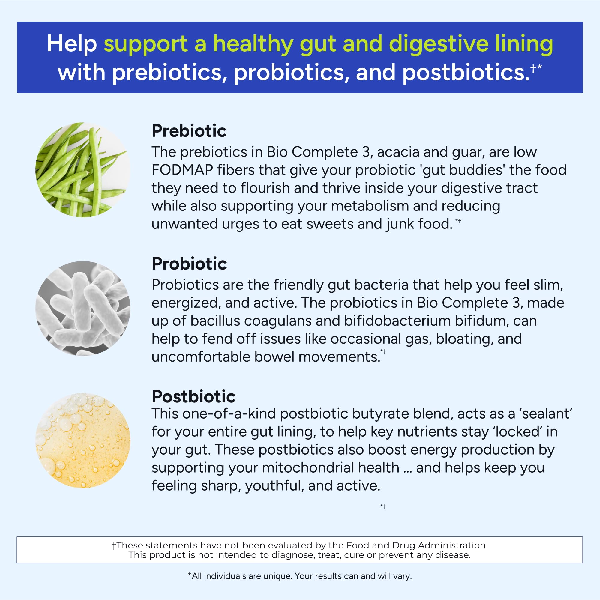 Digestive health and gut support illustration for Bio Complete 3
