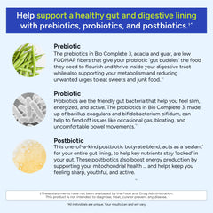 Digestive health and gut support illustration for Bio Complete 3