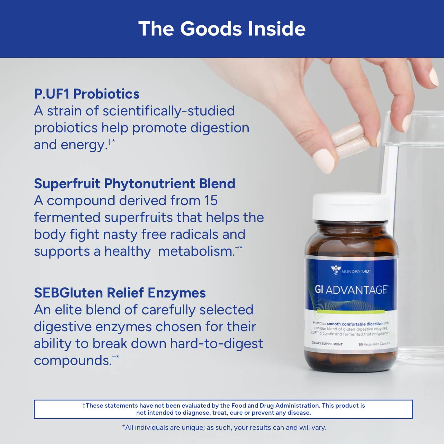 Graphic illustrating digestive health and energy benefits