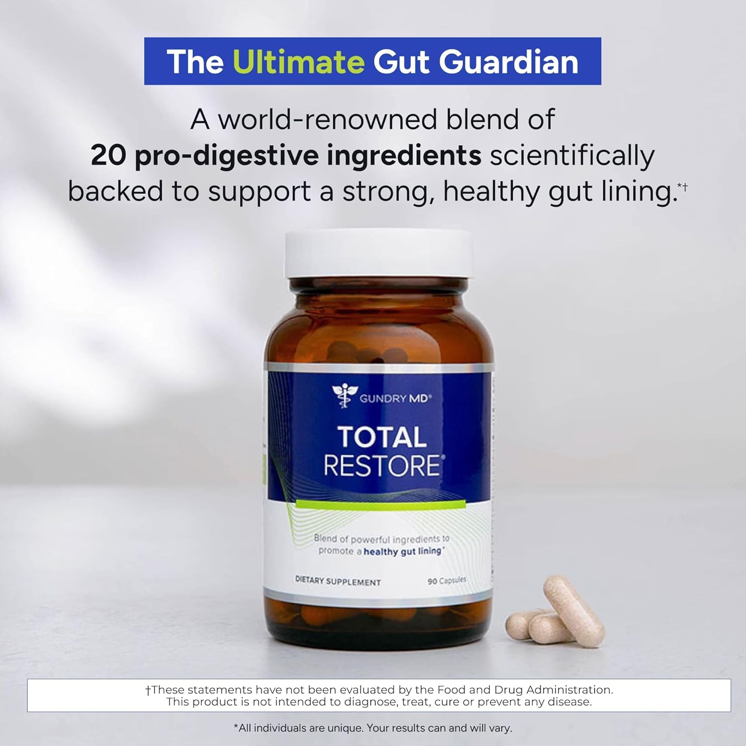 Graphic showing gut health and microbiome concept
