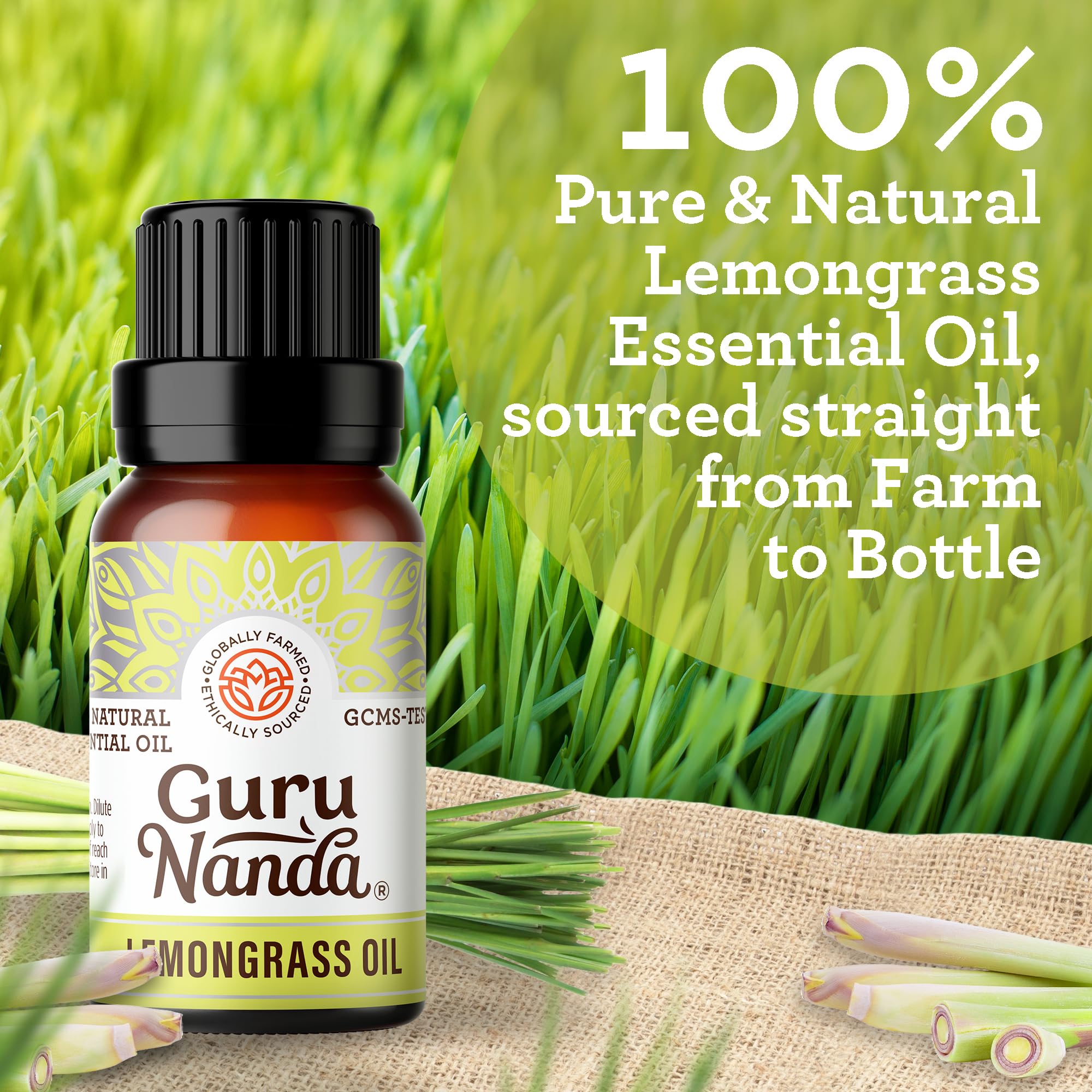 Lemongrass leaves and essential oil bottle