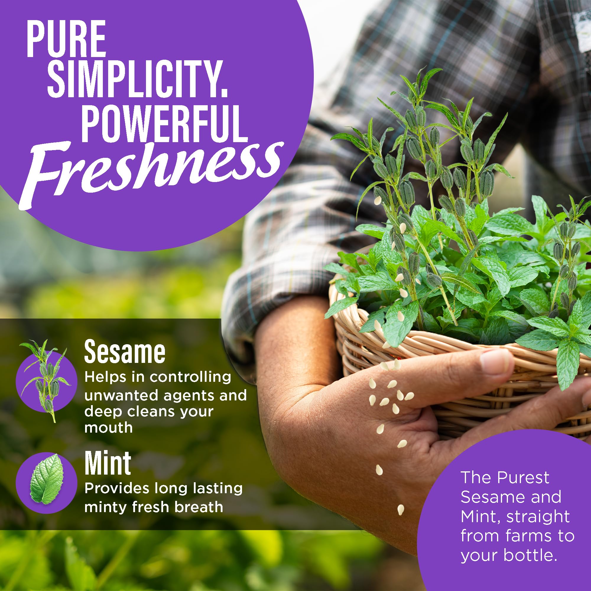 Ingredient highlight showing sesame oil and peppermint oil