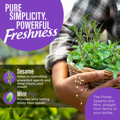 Ingredient highlight showing sesame oil and peppermint oil
