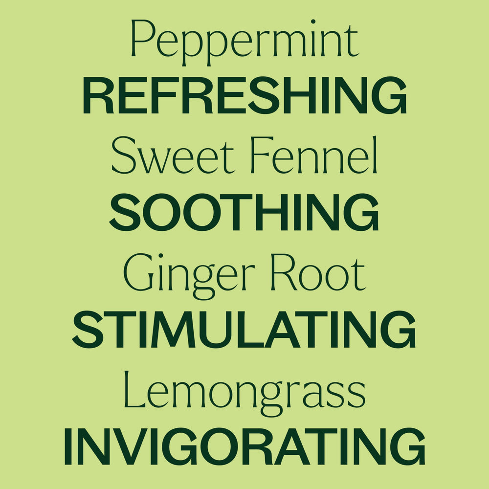 Gut Aid ingredients panel
