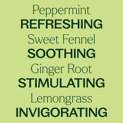 Gut Aid ingredients panel