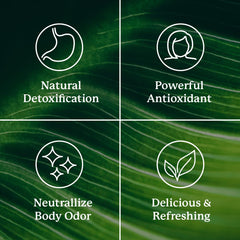 Graphic illustrating gut detox benefits of chlorophyll