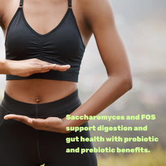 Illustration of digestive system demonstrating gut health
